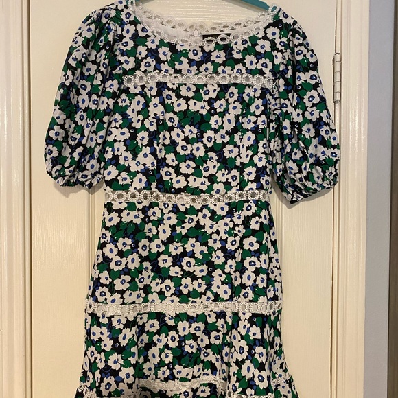 Olivaceous Fit and Flare Dress - Picture 1 of 1